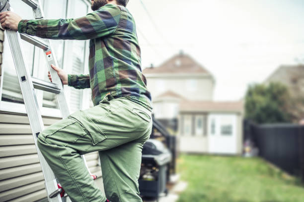 Best Custom Siding Design  in Lodi, WI