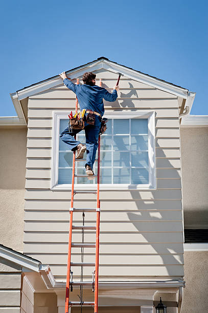 Best Fascia and Soffit Installation  in Lodi, WI