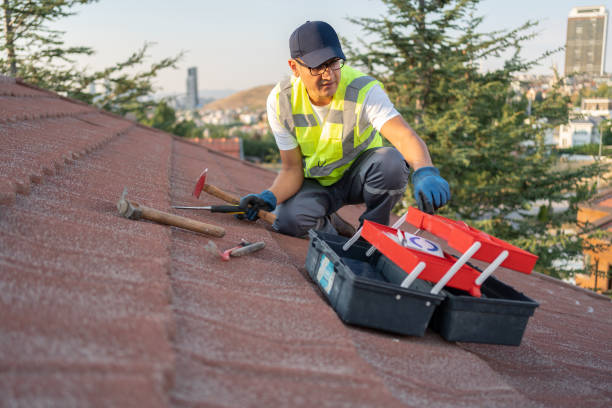 Best Storm Damage Siding Repair  in Lodi, WI